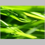 Vista Wallpapers 046.JPG